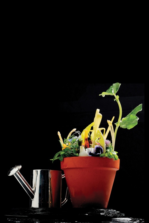 Opocensky’s Flower Pot, available at the Krug Room at the Mandarin Oriental